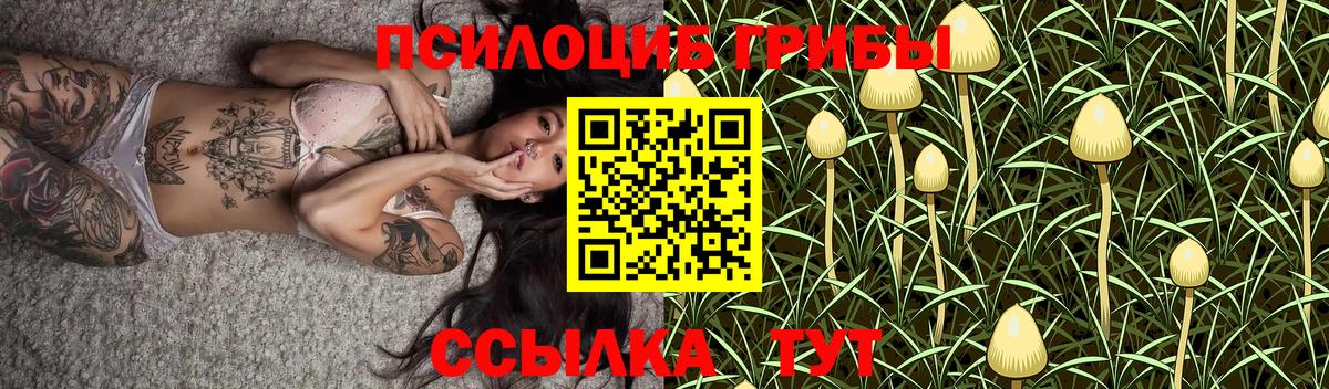 Псилоцибиновые грибы прущие грибы Вязники