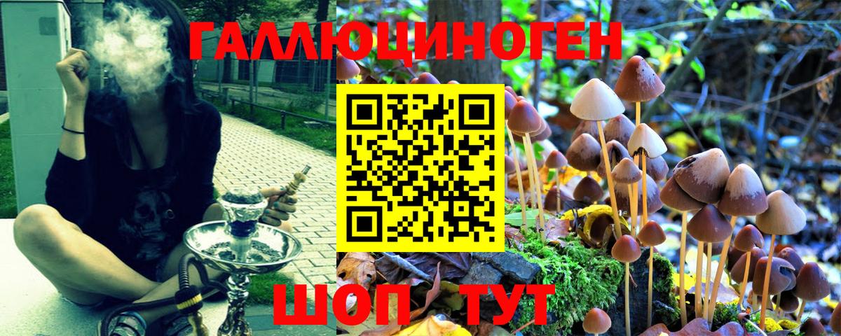 Вязники  Псилоцибиновые грибы GOLDEN TEACHER  Псилоцибиновые грибы мицелий  Вход с VPN 